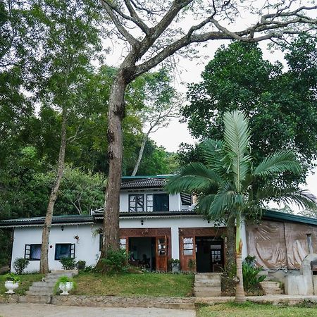 Welikande Yoga Retreats Hotel Digana Luaran gambar