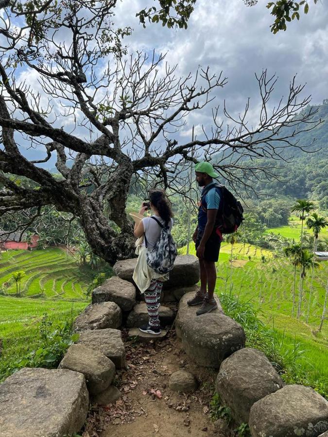Welikande Yoga Retreats Hotel Digana Luaran gambar