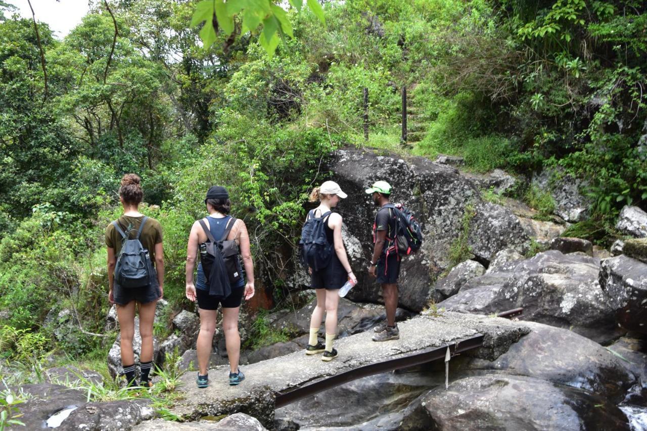 Welikande Yoga Retreats Hotel Digana Luaran gambar
