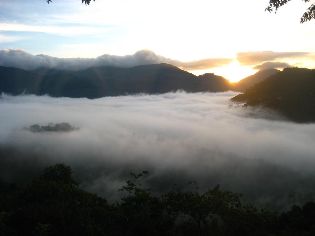 Welikande Yoga Retreats Hotel Digana Luaran gambar