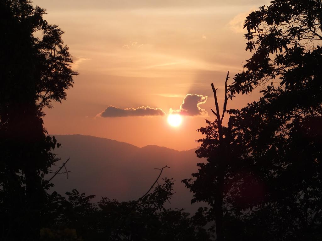 Welikande Yoga Retreats Hotel Digana Bilik gambar