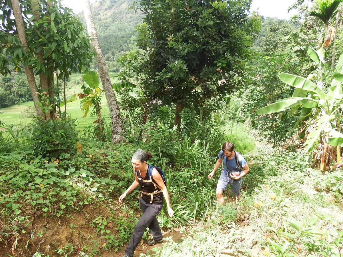 Welikande Yoga Retreats Hotel Digana Luaran gambar