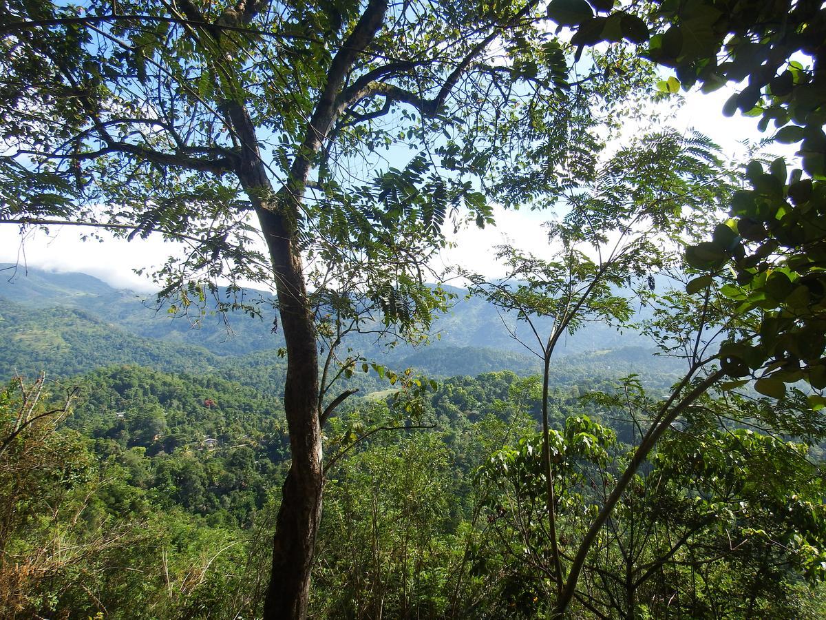 Welikande Yoga Retreats Hotel Digana Luaran gambar