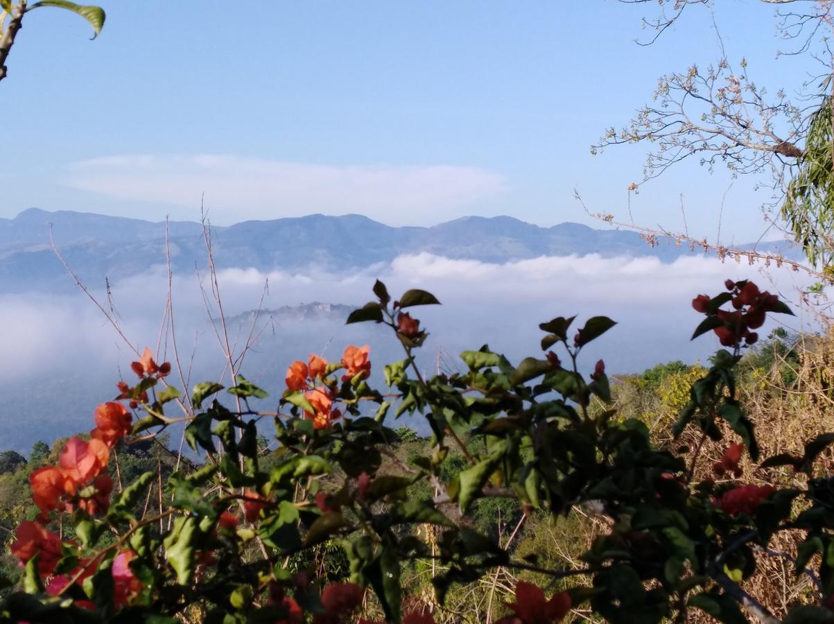 Welikande Yoga Retreats Hotel Digana Luaran gambar