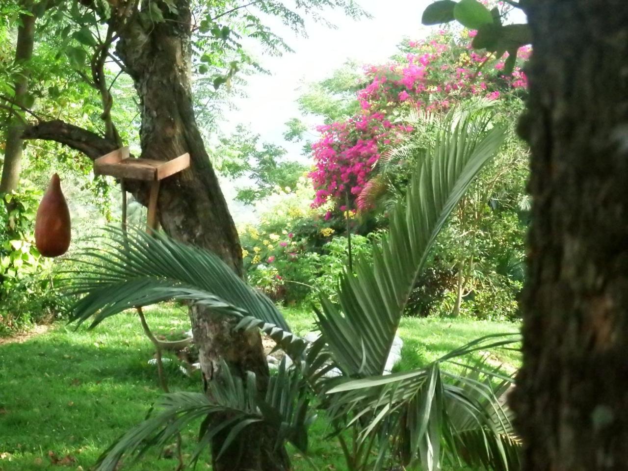 Welikande Yoga Retreats Hotel Digana Luaran gambar