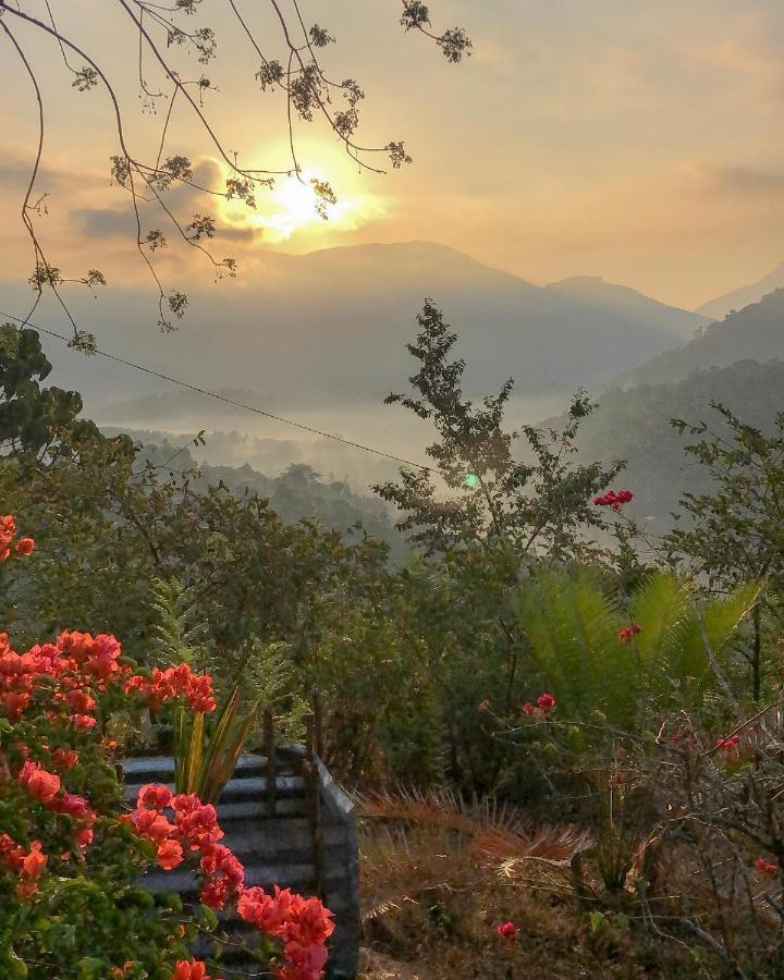 Welikande Yoga Retreats Hotel Digana Luaran gambar